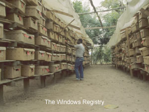 The windows registry represented as a bunch of dirty cardboard boxes